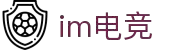 IM(股份有限公司)电竞-电子竞技平台